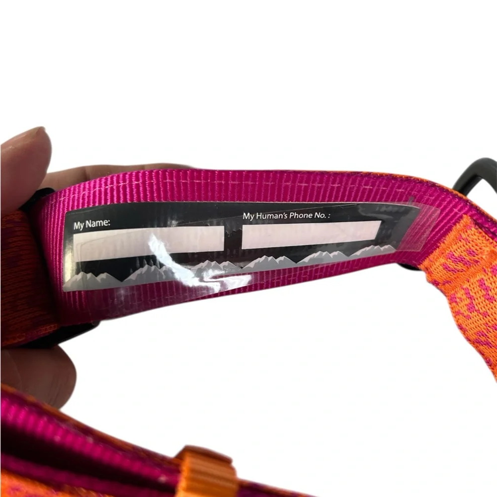 Arcadia Trail Flyknit High Visibility Dog Collar XL